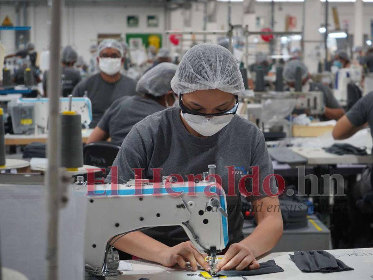 Alarmante cifra: Solo 30 de cada 100 hondureños tienen un trabajo formal en Honduras