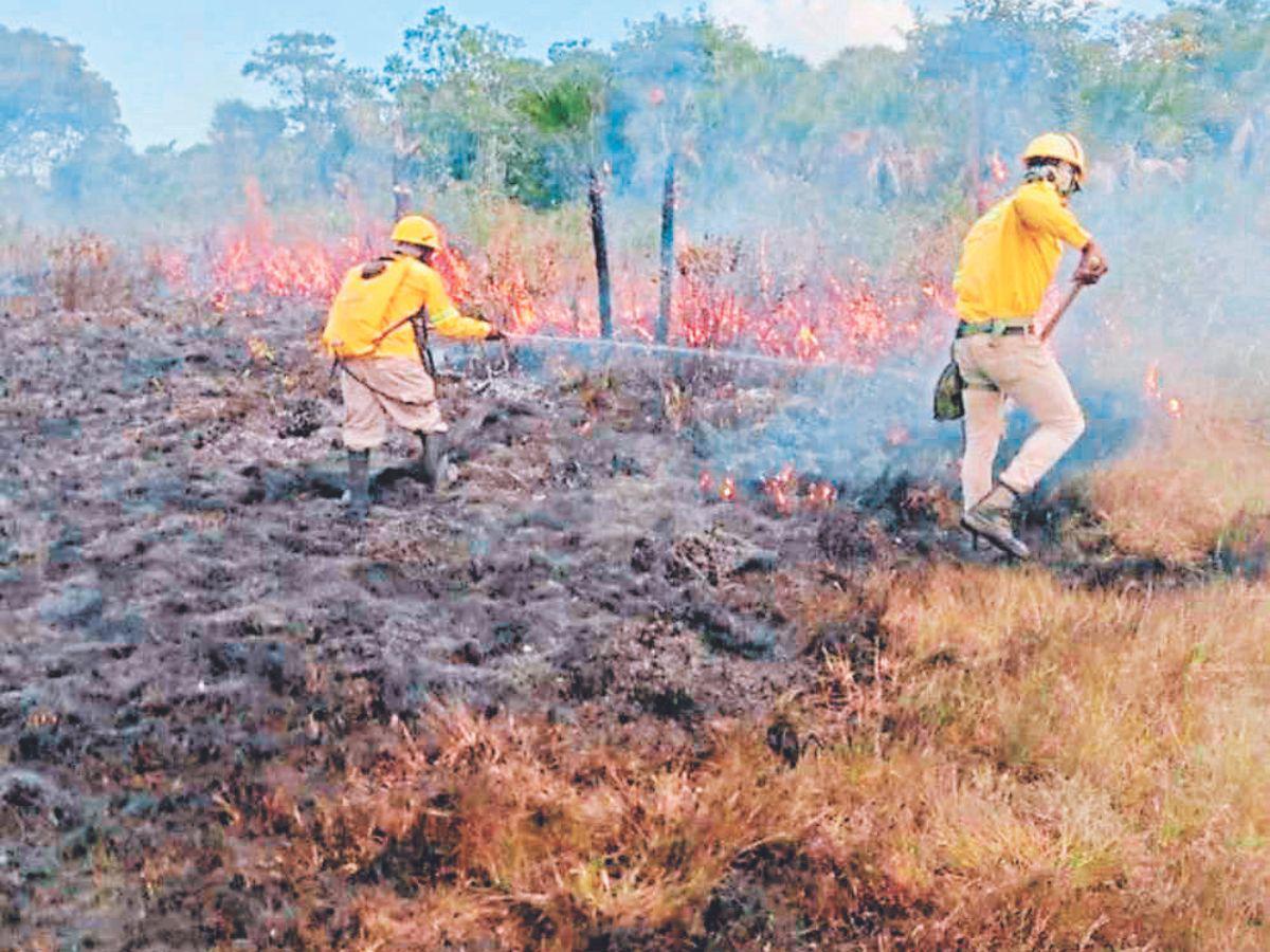 Incendios arrasan áreas protegidas y microcuencas de Honduras