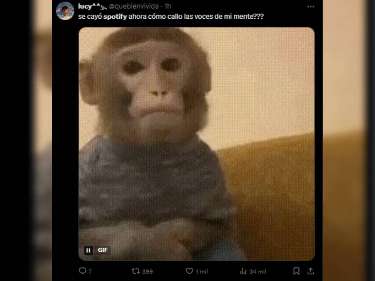 Usuarios reaccionan con memes a la caída de Spotify: Aquí los mejores Usuarios reaccionan con memes a la caída de Spotify: Aquí los mejores
