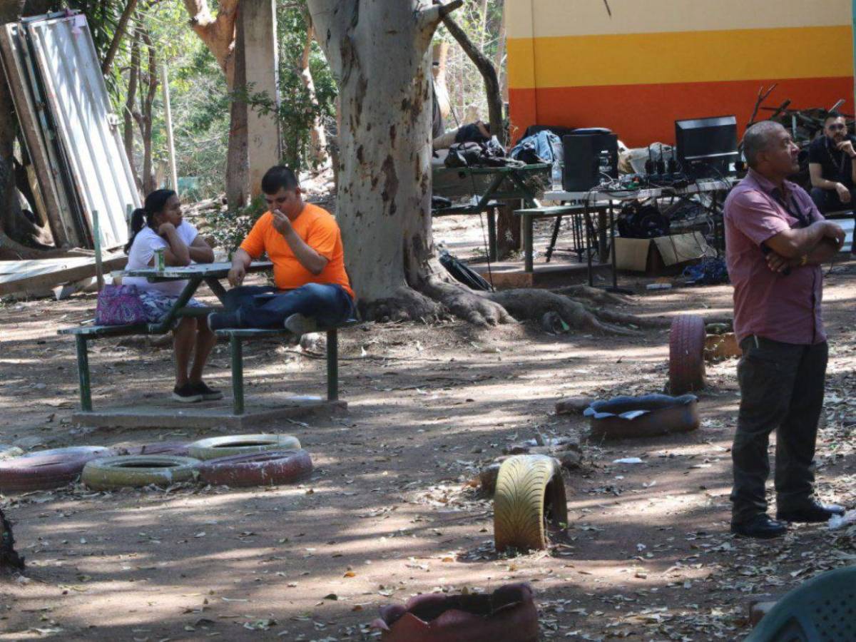 ¡Sin maletas electorales! Retraso en entrega de material mantiene en vilo a la población