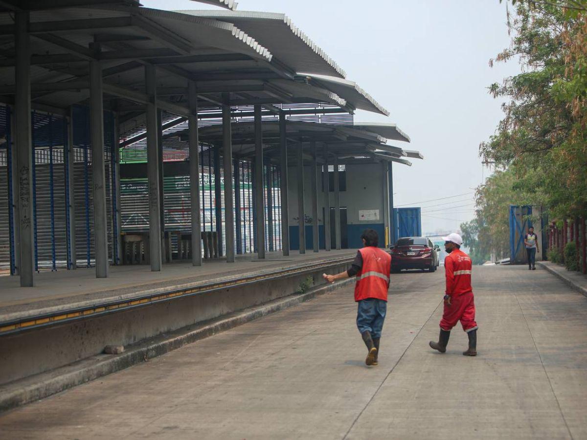 La UNAH junto a la Gerencia de Aseo realizaron limpieza en el Trans-450