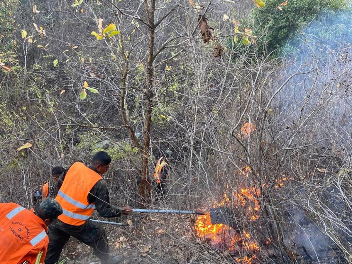 Solo durante el fin de semana se registraron 15 incendios forestales en Honduras