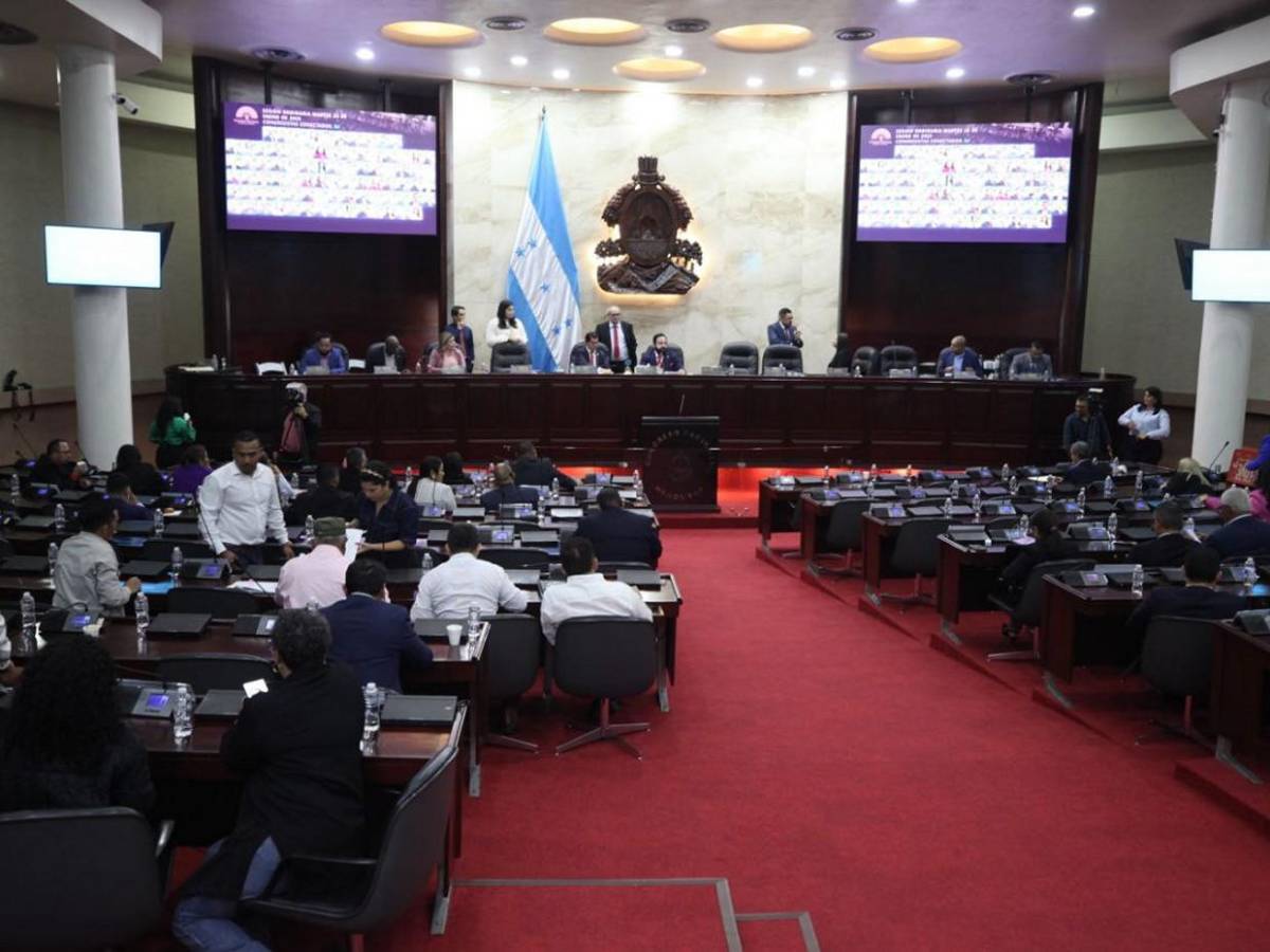 Entre contrapropuestas, Congreso Nacional debate Presupuesto General de 2025