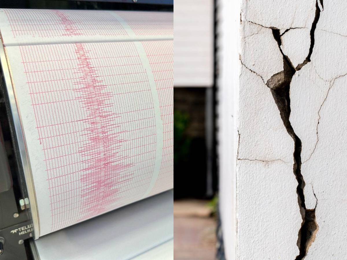 ¿Habrá un “gran terremoto” en el oeste de Estados Unidos? Esto dicen las predicciones