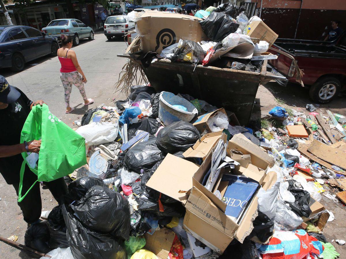 Cinco colonias de la capital tienen el peor manejo de desechos sólidos