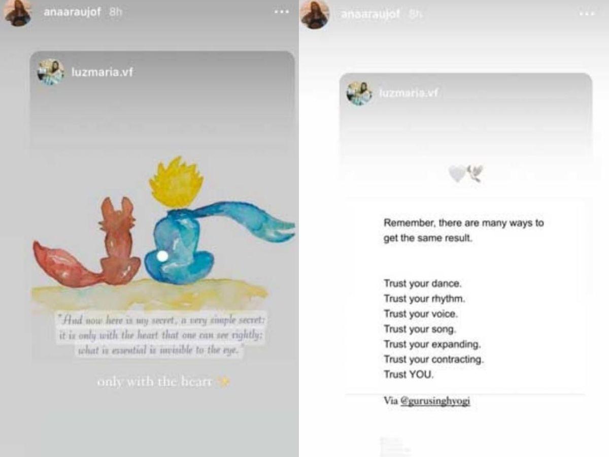 Ana Araujo compartió dos historias de Instagram con sentidos mensajes.