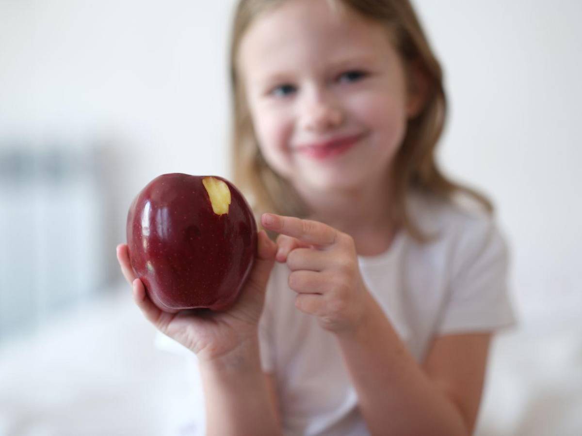 Los alimentos que no deben faltar en su despensa