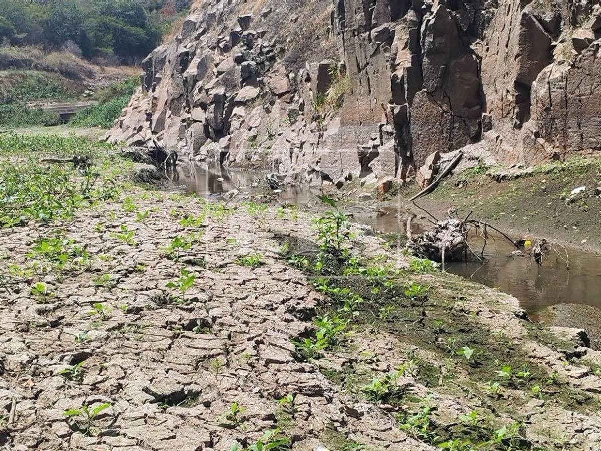 Como un hilo de agua: así está este 7 de septiembre el río Guacerique que agoniza por la sequía