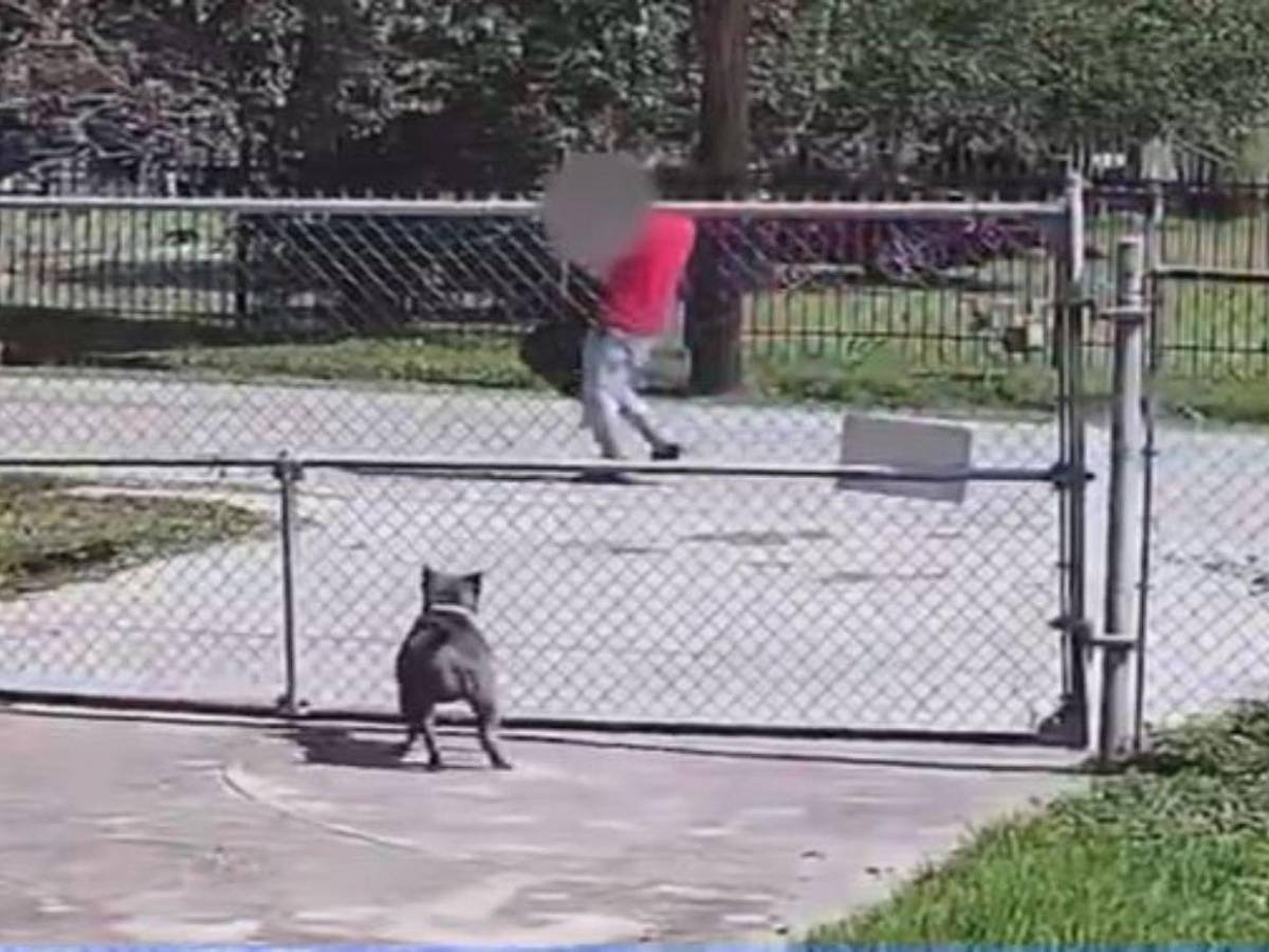 Hondureño en EE UU secuestró y habría violado a mujer: cinco días la mantuvo en un armario