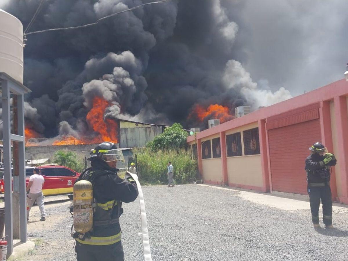 Las imágenes del pavoroso incendio en la colonia El Prado Las imágenes del pavoroso incendio en la colonia El Prado