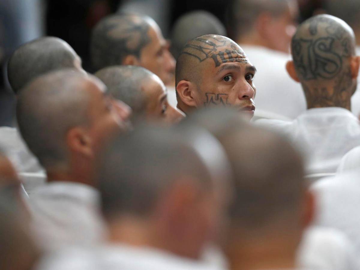 Las imágenes del inédito megajuicio contra más de 400 presuntos pandilleros en El Salvador