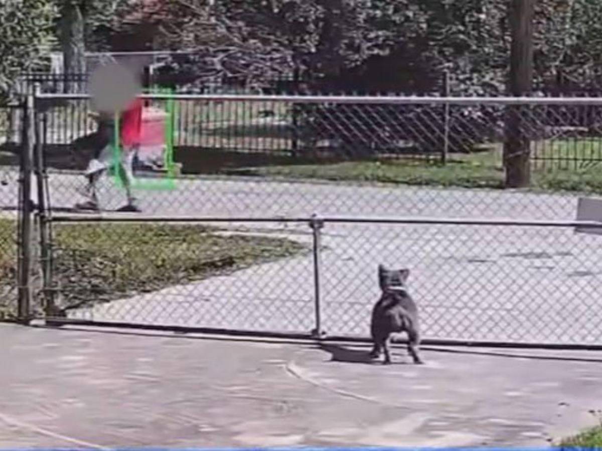 Hondureño en EE UU secuestró y habría violado a mujer: cinco días la mantuvo en un armario