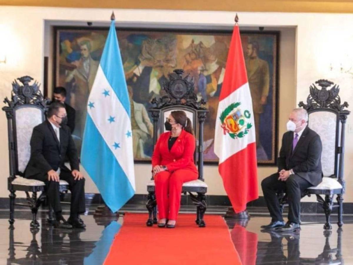 Honduras votó a favor en la OEA para adelantar elecciones en Perú