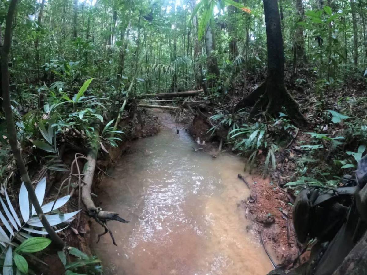 40 días en la selva: ¿qué ha sido de los hermanos Mucutuy, los niños perdidos en Colombia?