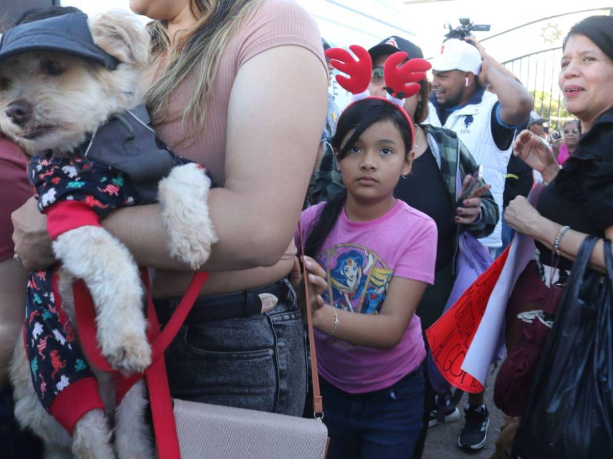 Familias con mascotas y niños respaldan a Jorge Aldana en campamento frente al Infop