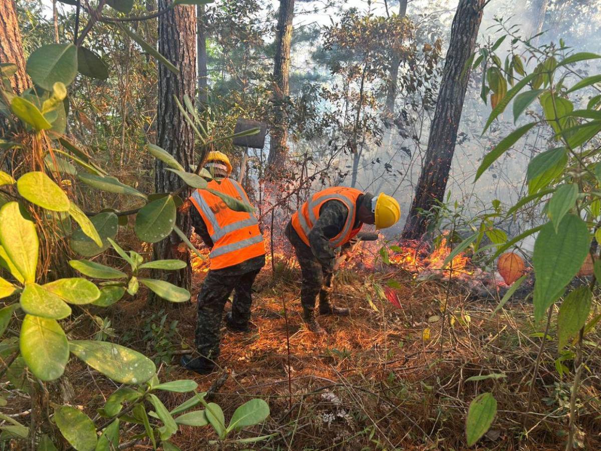 FF AA combaten siete incendios forestales en distintas zonas del país