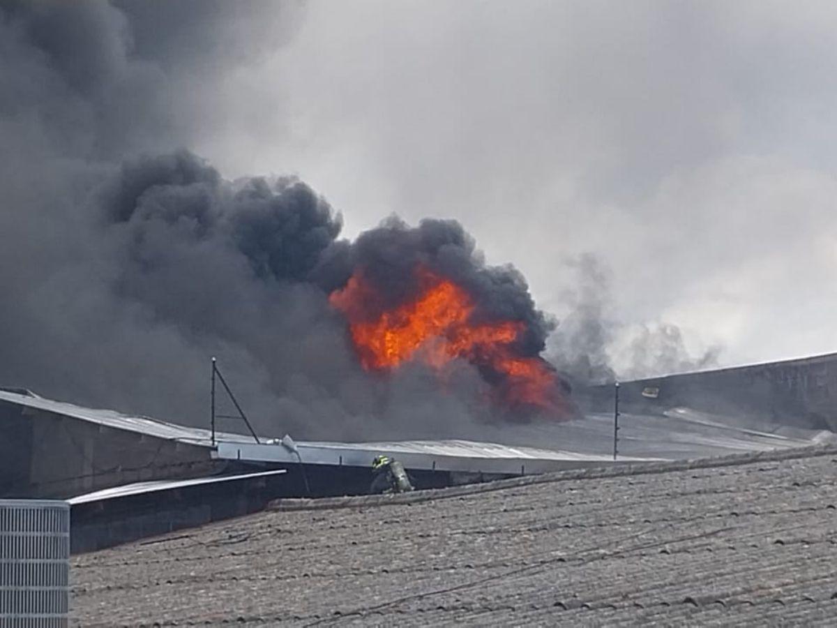Las imágenes del pavoroso incendio en la colonia El Prado Las imágenes del pavoroso incendio en la colonia El Prado