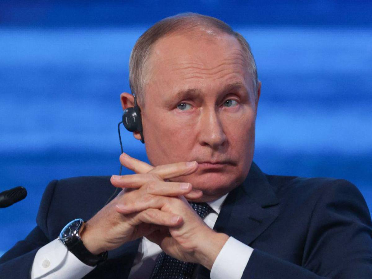 Putin afirma que los cereales ucranianos van a la UE y no a los países pobres