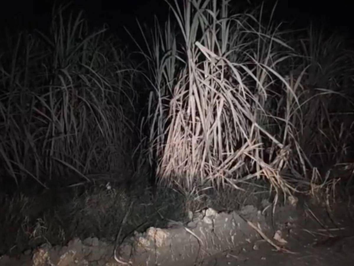 Estaba en estado de descomposición: así hallaron el cuerpo de Valeria Alvarado