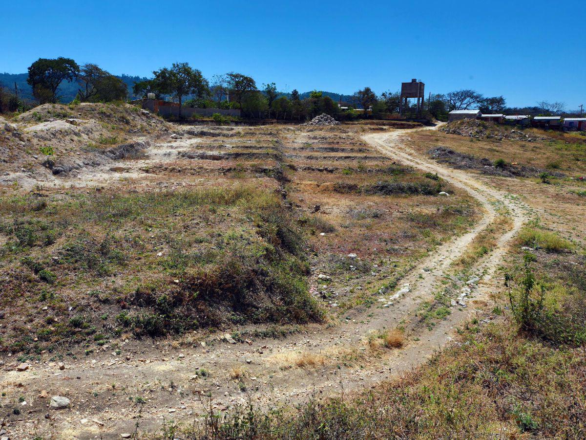 ¿Cuándo iniciará la construcción de viviendas para los damnificados de la Guillén?