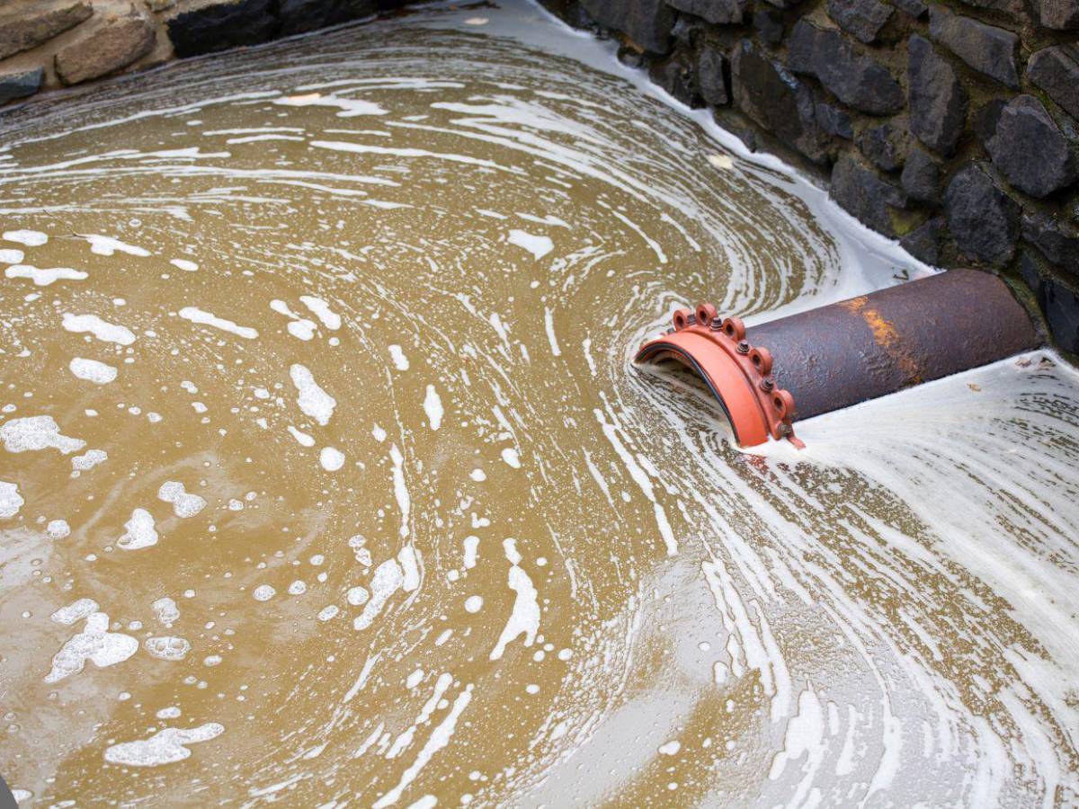 ¿Qué es la enfermedad del legionario, infección que tiene en alerta a Nueva York?