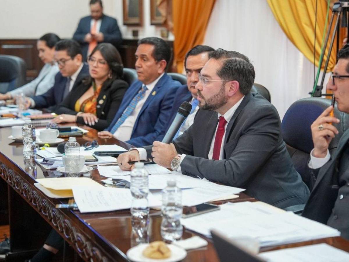 Estos fueron los puntos clave de la comparecencia de Johel Zelaya en el Congreso