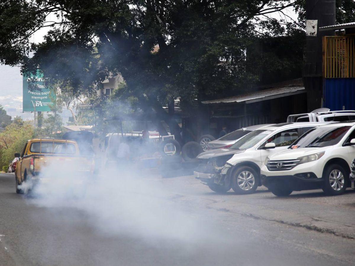Viejos o nuevos: ¿Qué vehículos son más conducidos por los hondureños?