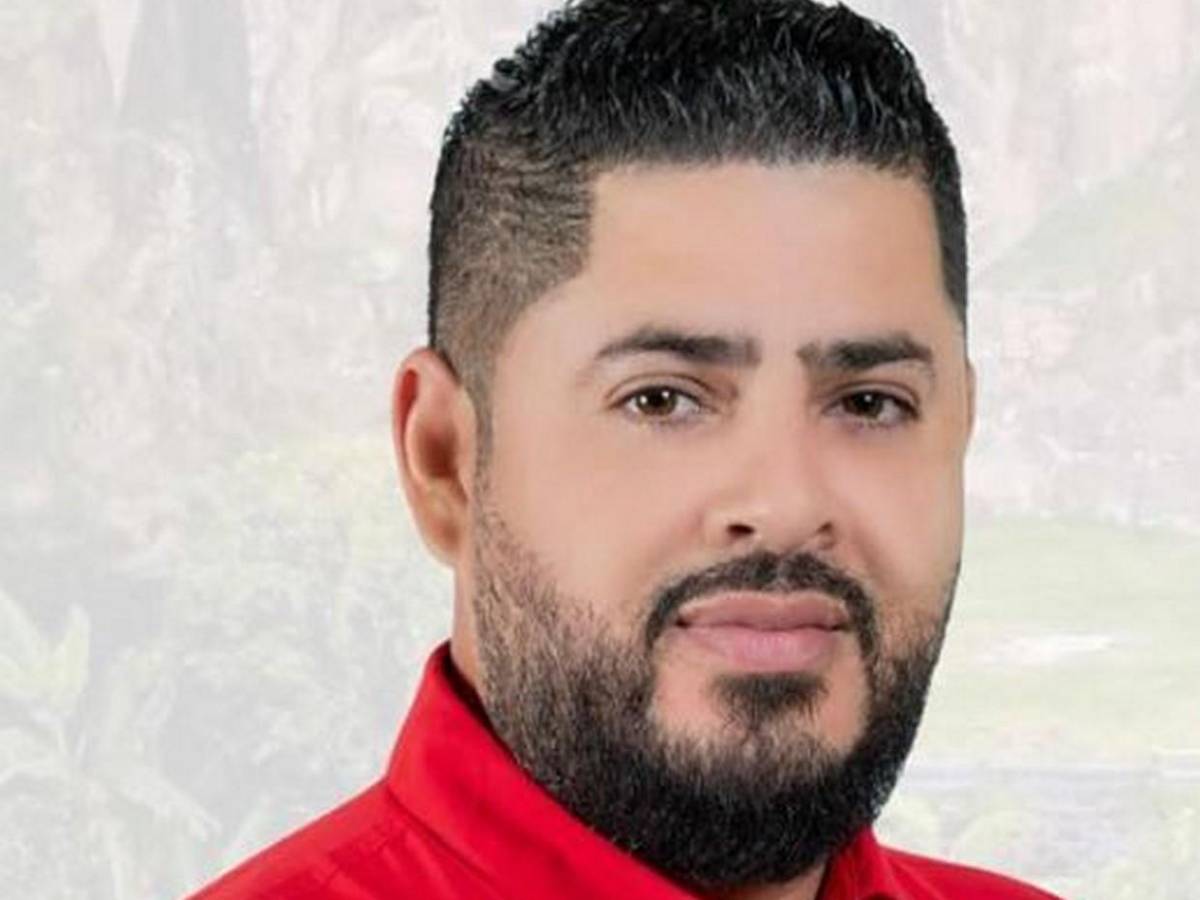 Diputados del Partido Liberal que buscan reelegirse en el Congreso Nacional