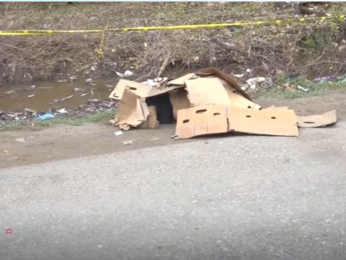 El cuerpo de la fémina fue encontrado a orillas de la calle.