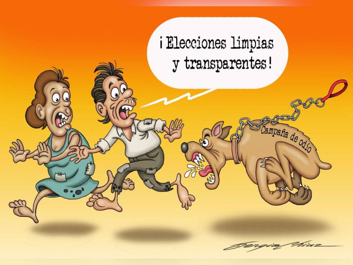 Carrera electoral