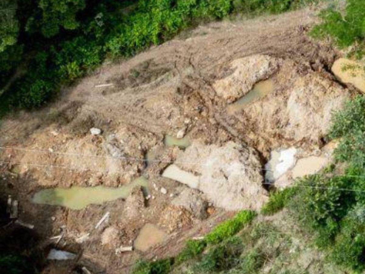 Van 25 asesinatos por el botín de oro, dólares y armas de Magdaleno Meza