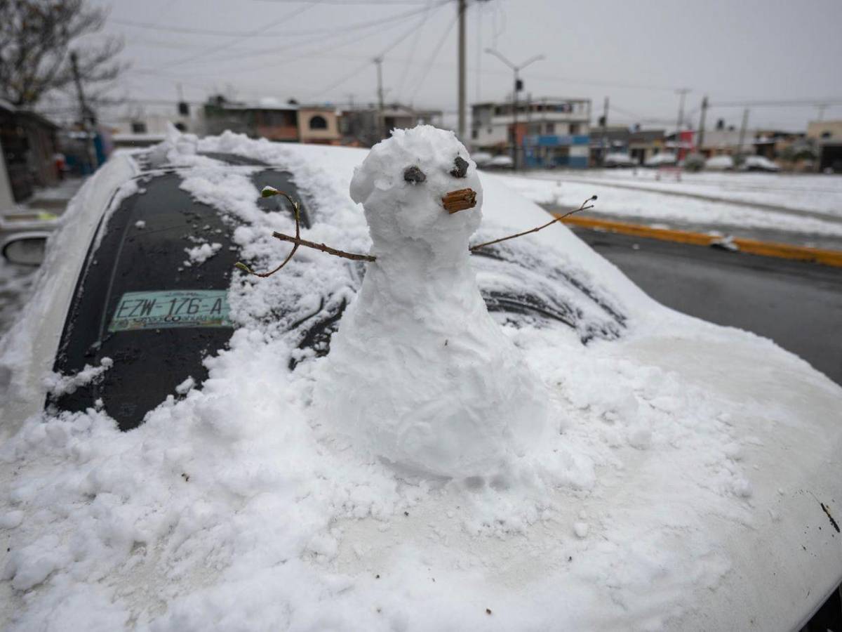 Onda gélida afecta al norte de México con temperaturas bajo cero