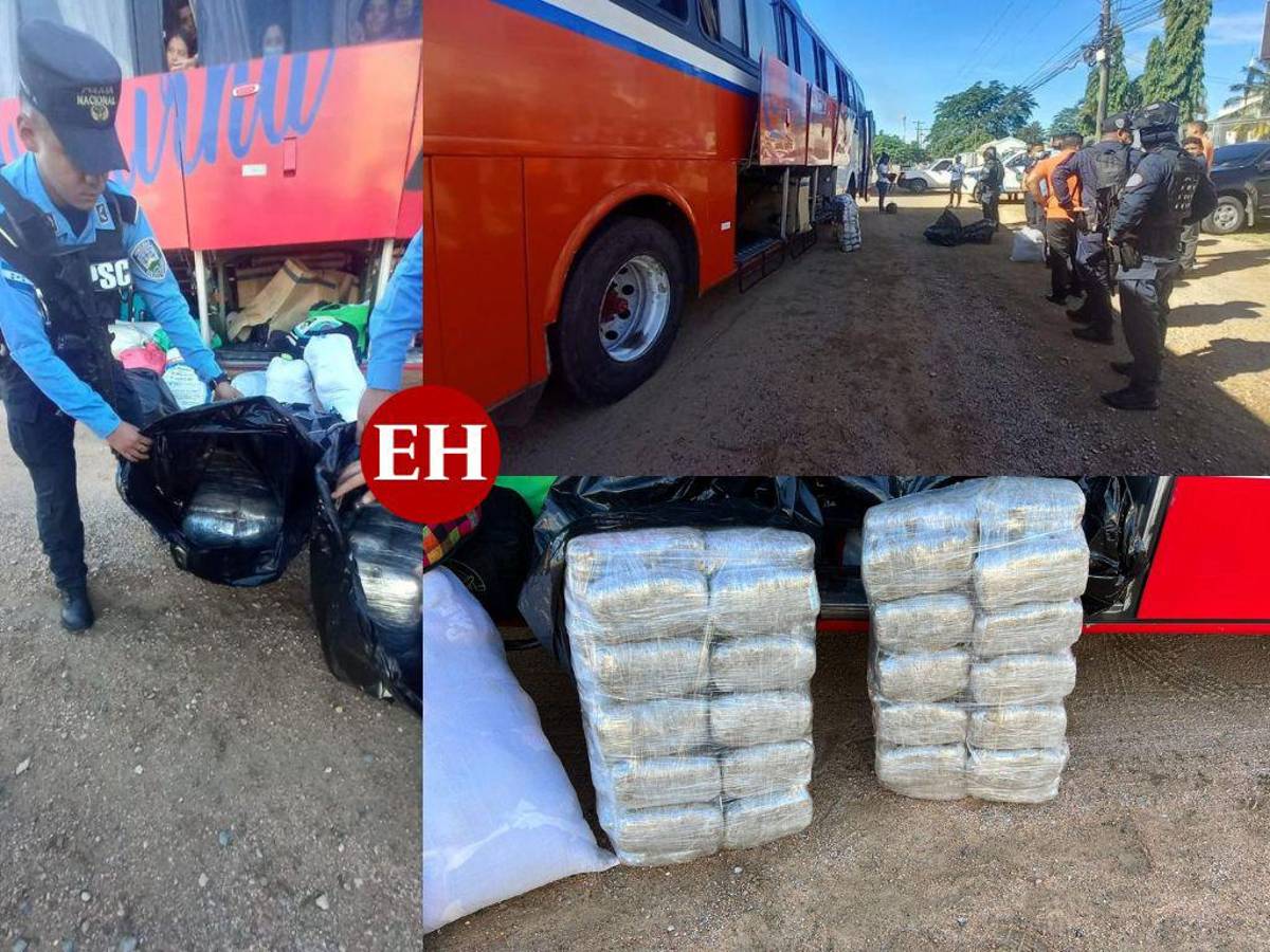 Decomisan varios paquetes de supuesta marihuana dentro de un autobús en Tela