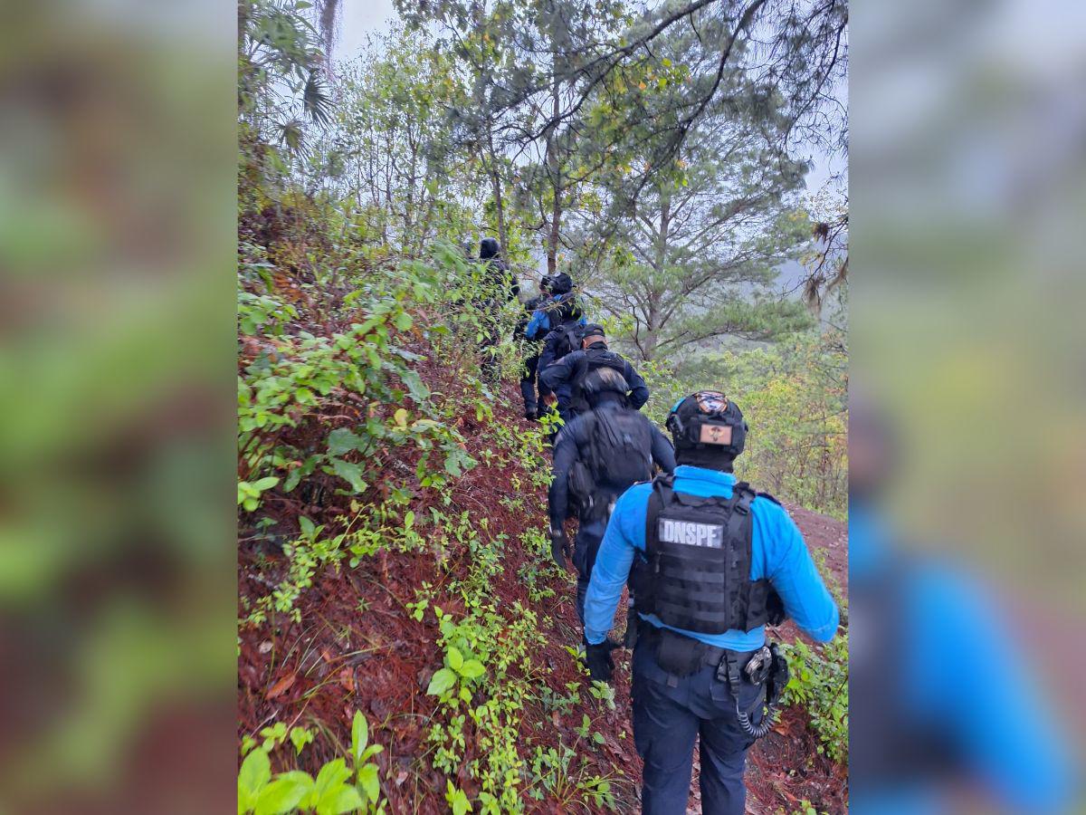 En helicóptero sacarían los cuerpos de los jóvenes asesinados tras mudanza