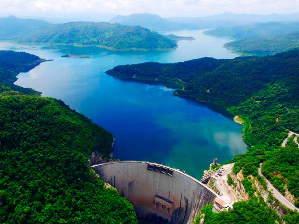 Aves amenazan la pesca en la mayor represa de Honduras: “Nos está matando”