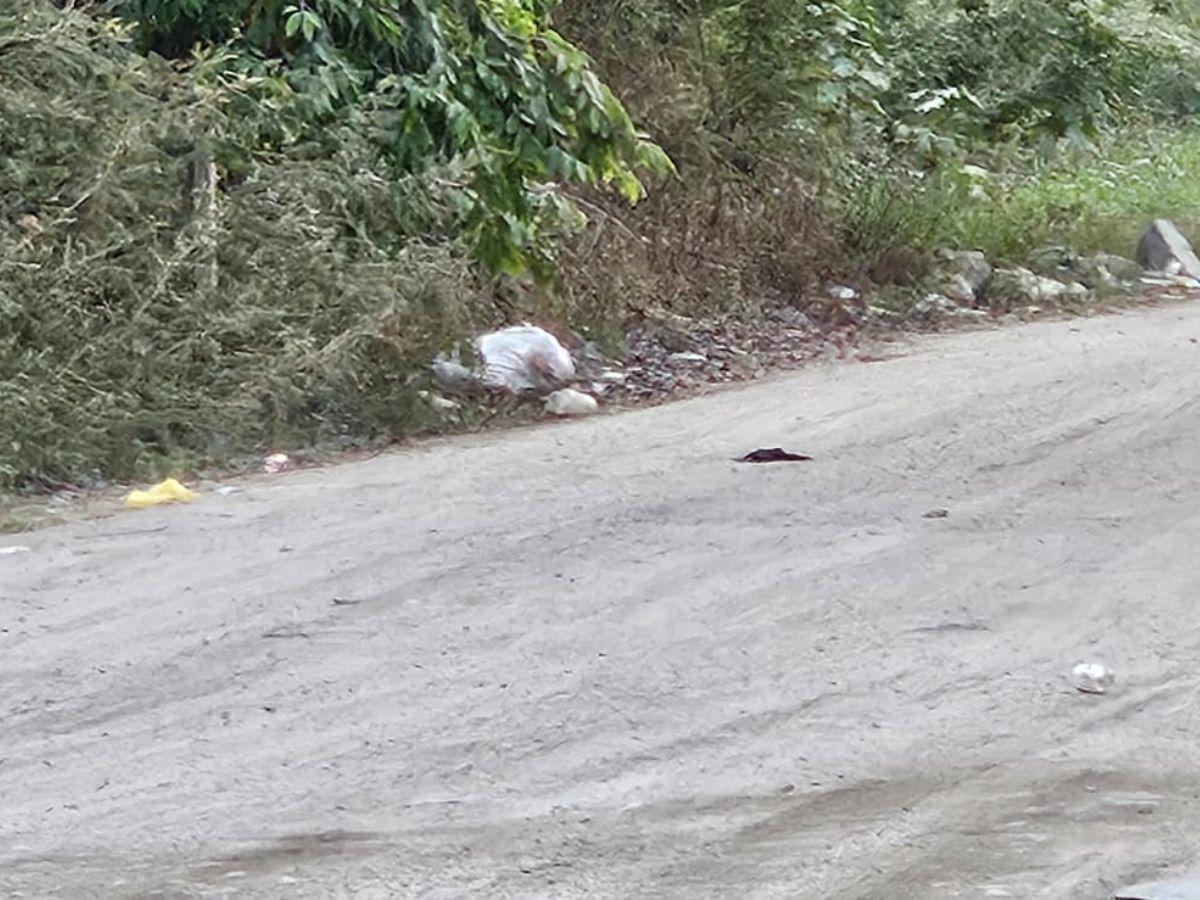 Hallan cadáver embolsado en San Pedro Sula