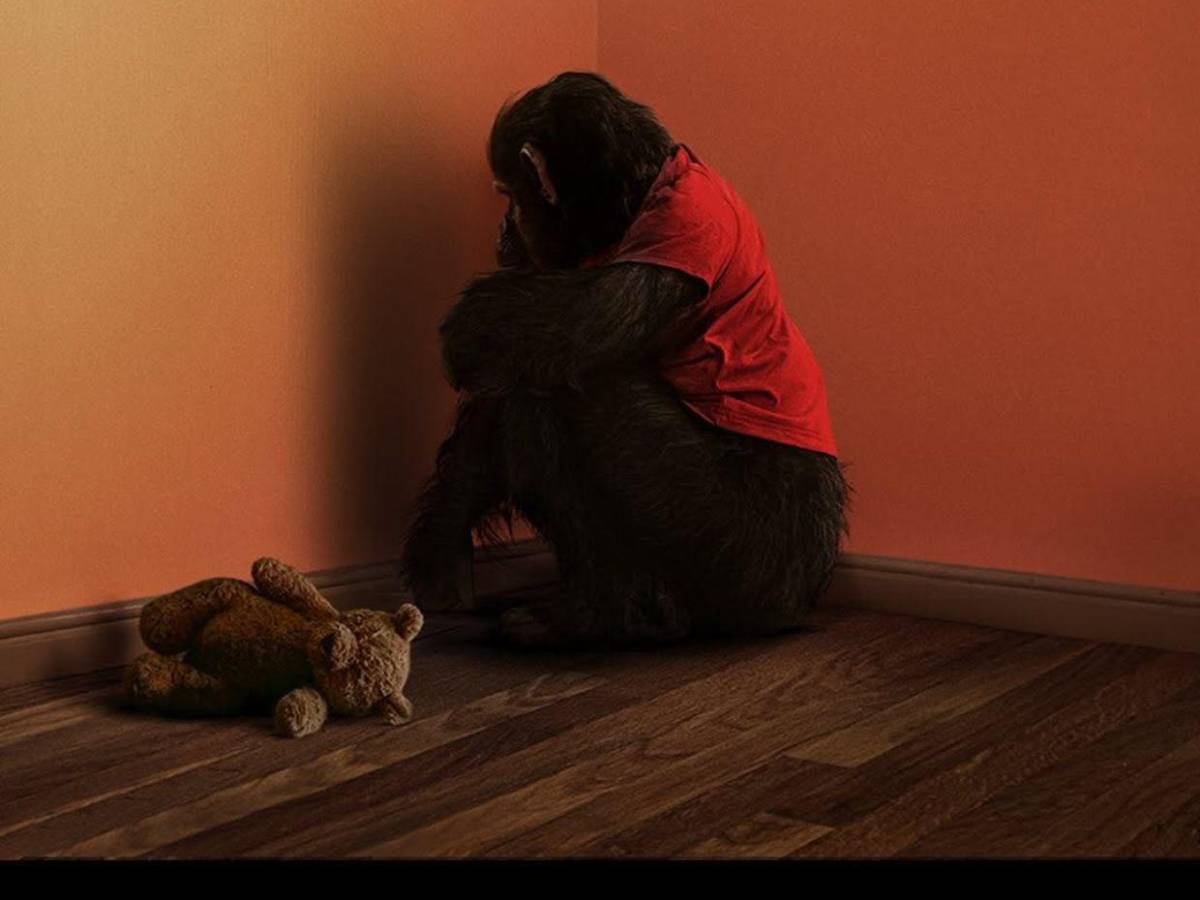 El chimpancé rabioso de Primate aterroriza las salas hondureñas desde mañana