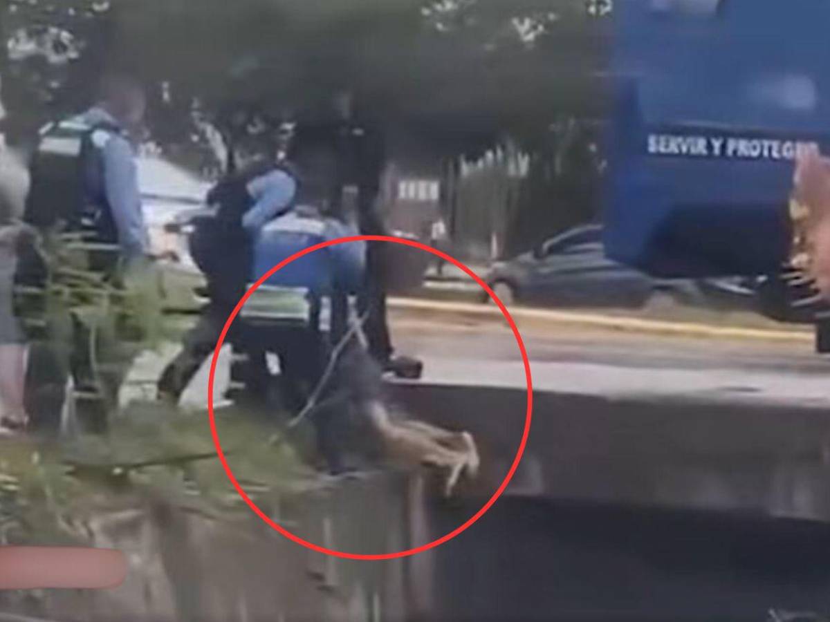 Cuadro a cuadro: captan momento donde inspector Kevin Pérez rescata al niño Miguel Umaña