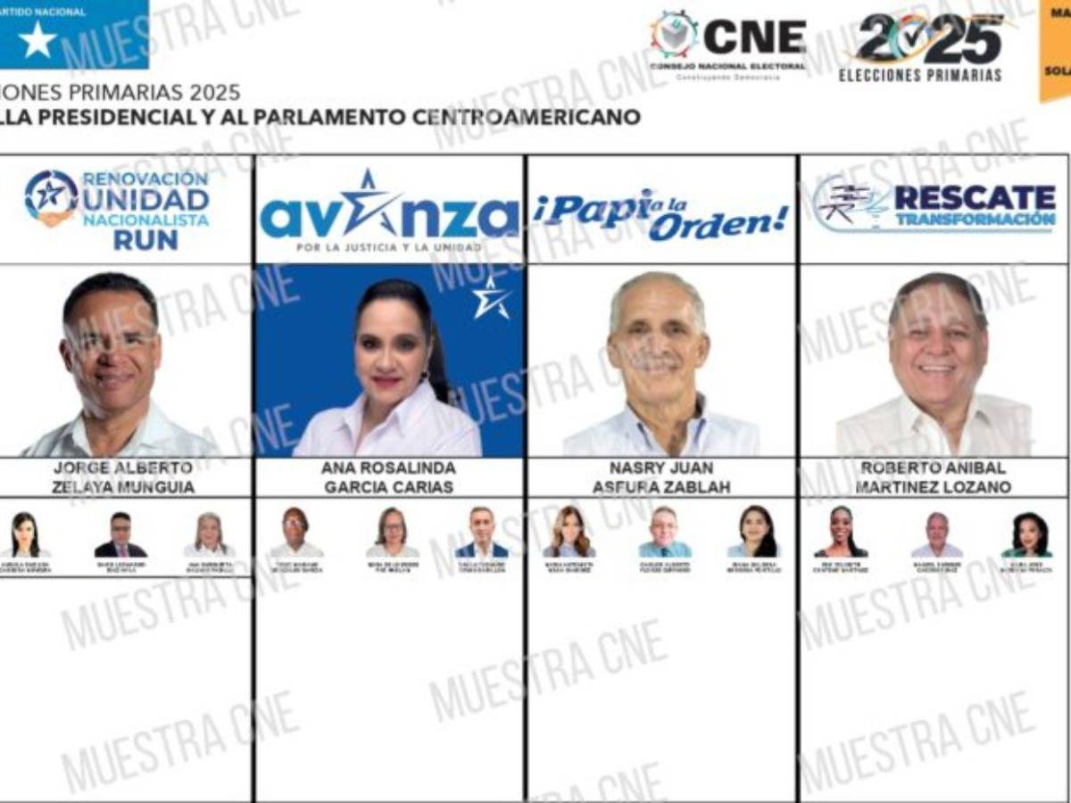 Los rostros de los precandidatos presidenciales en las elecciones primarias de 2025