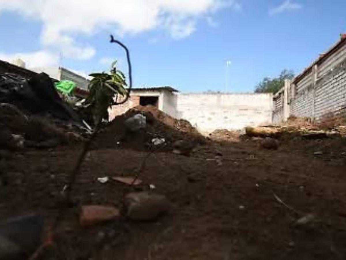 Localizan 32 cuerpos en fosa clandestina en Guanajuato, México