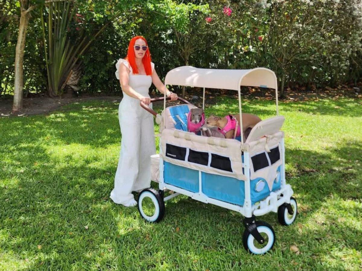 Mireddys González reaparece tras pedirle divorcio a Daddy Yankee