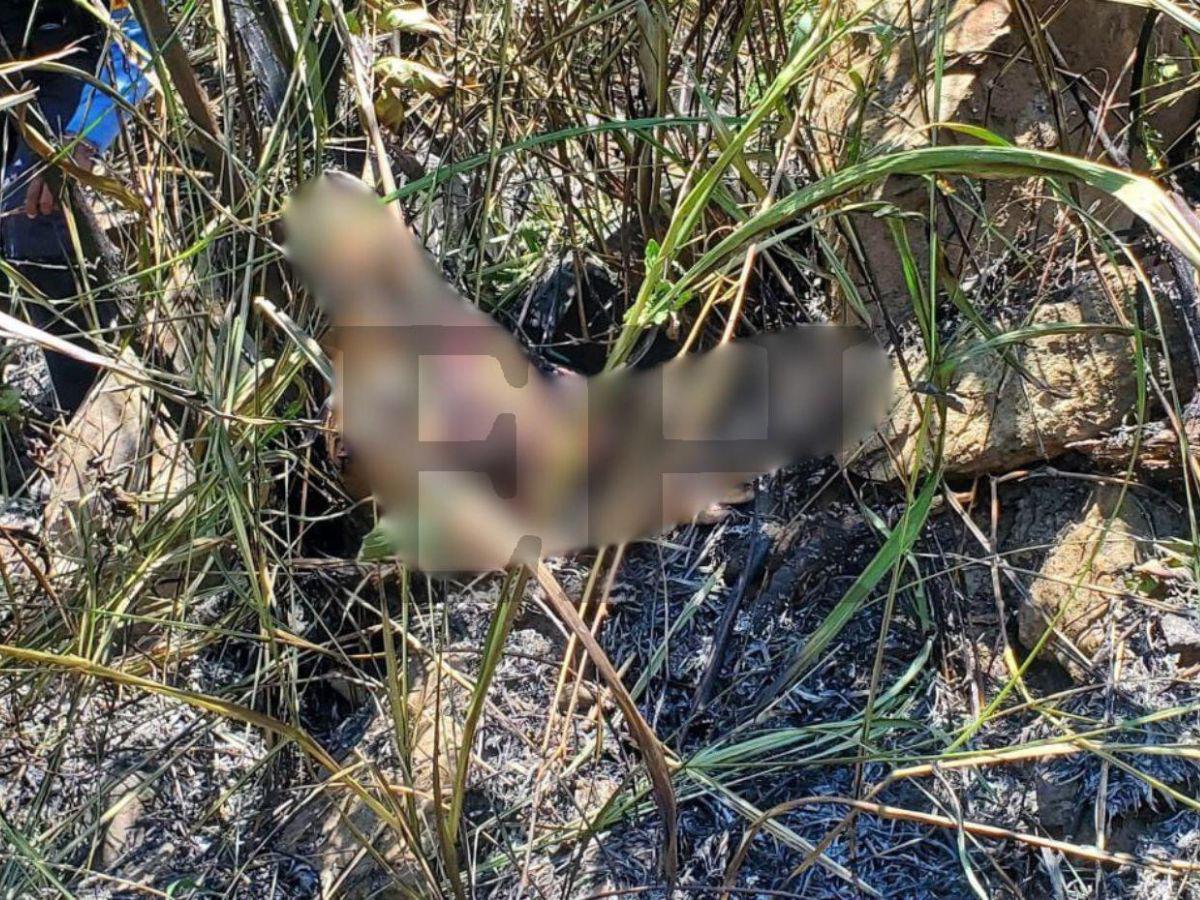 Sujeyly Euceda, joven madre que murió carbonizada en accidente de bus rapidito en Cofradía