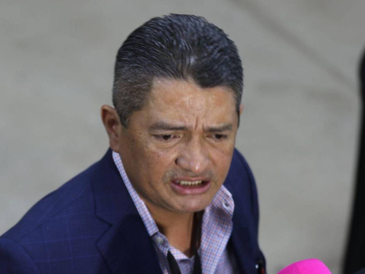 Los diputados con más años en el Congreso y se reeligen en 2025; uno tiene más de 20