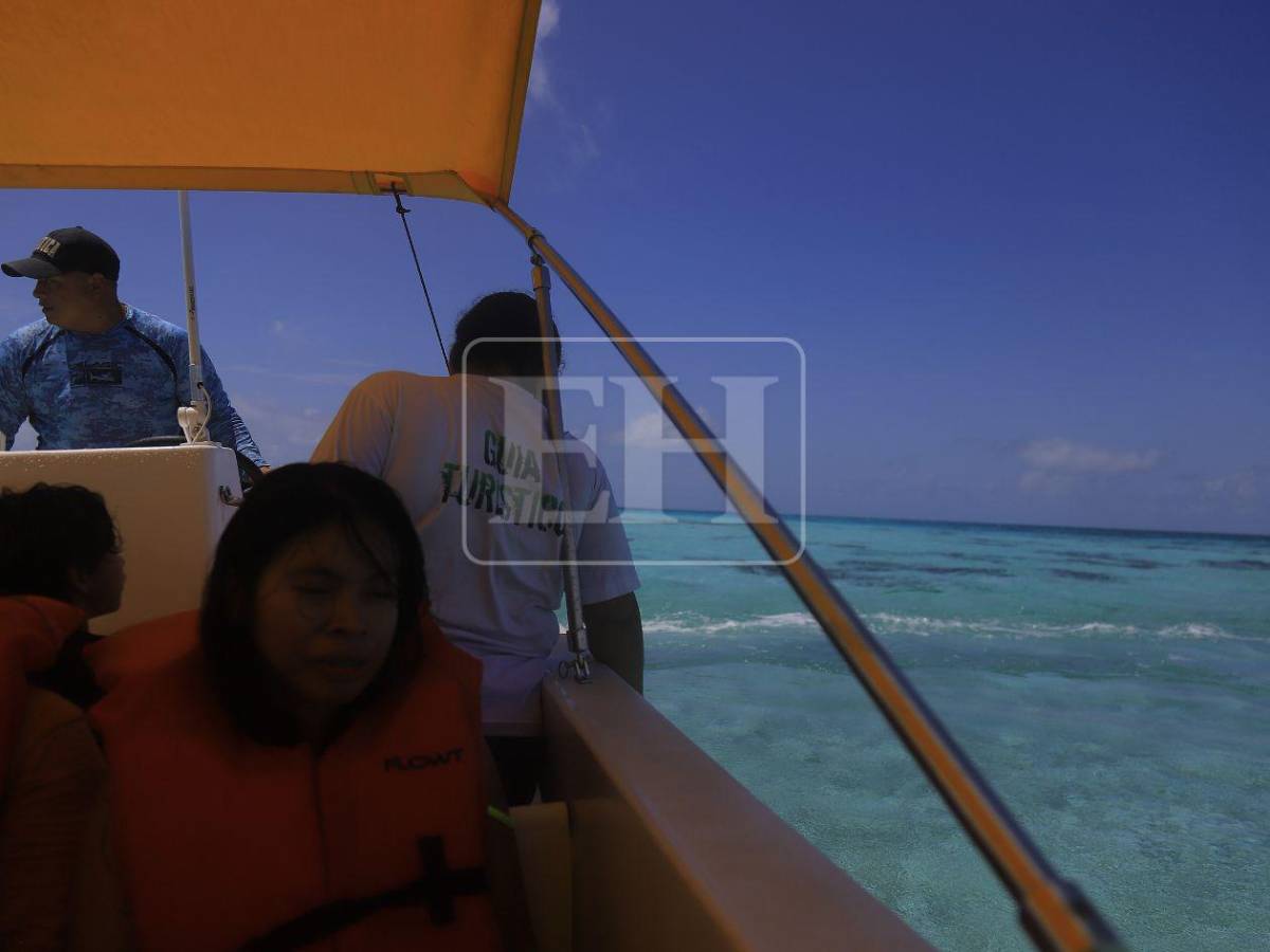 Cayos Zapotillos: el pequeño paraíso de aguas turquesas en disputa entre Honduras, Belice y Guatemala