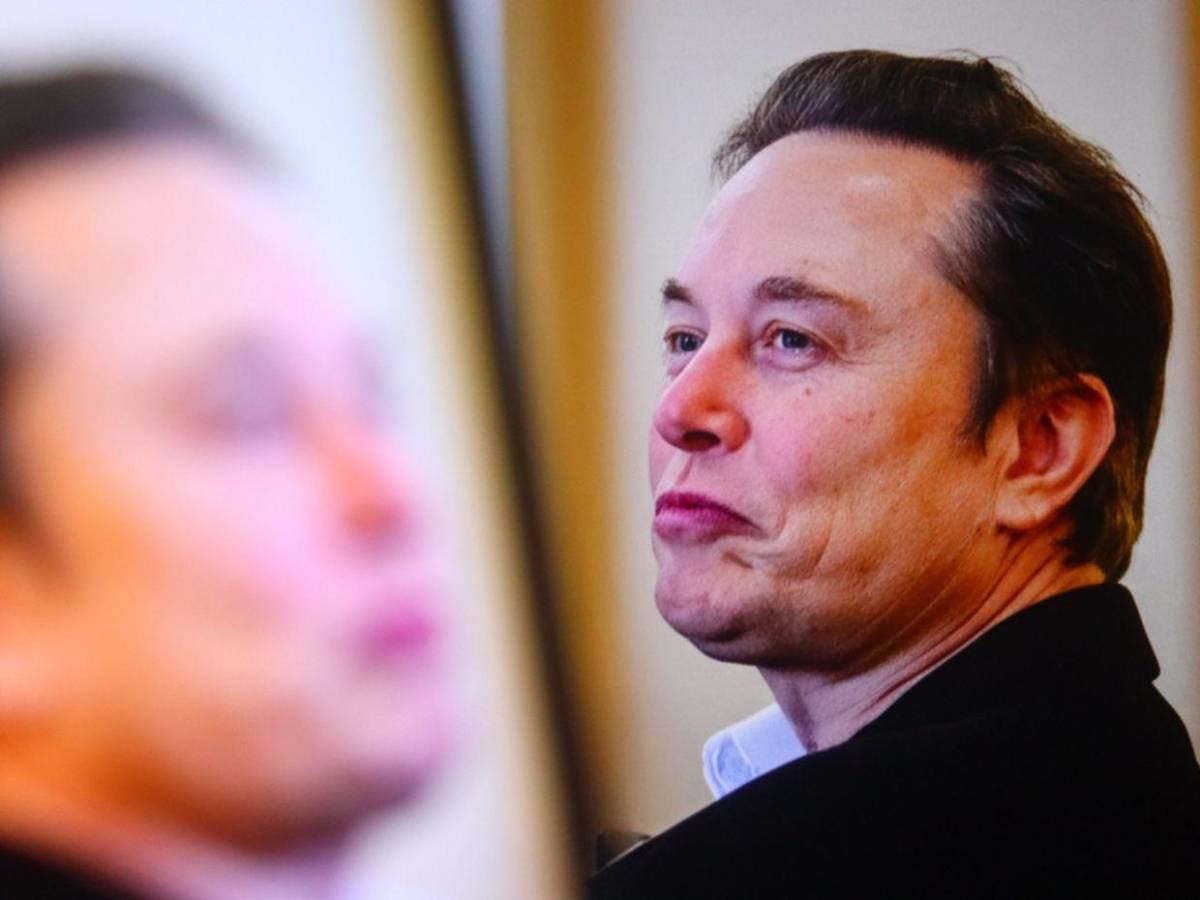 Ashley St. Clair relata cómo cambió su relación con Elon Musk tras quedar embarazada