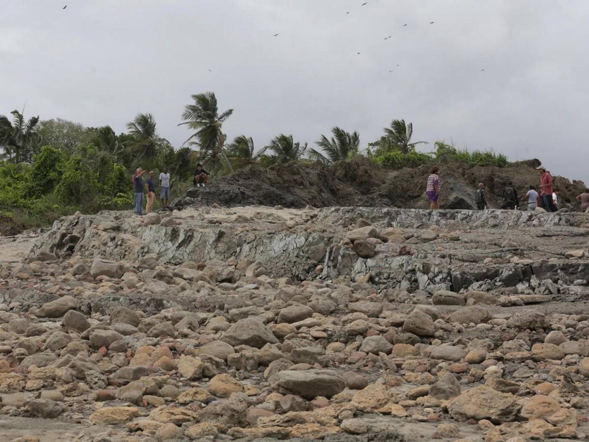 Sismos en Venezuela cambiaron para siempre geografía de Trinidad: Costa se elevó seis metros