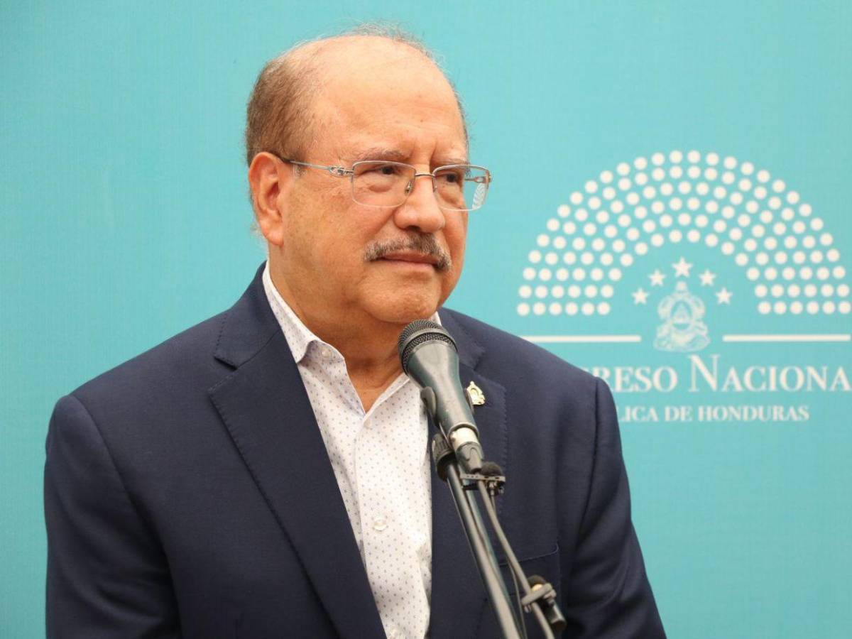 Periodistas, abogados y un exjugador: así es la papeleta de diputados en Francisco Morazán