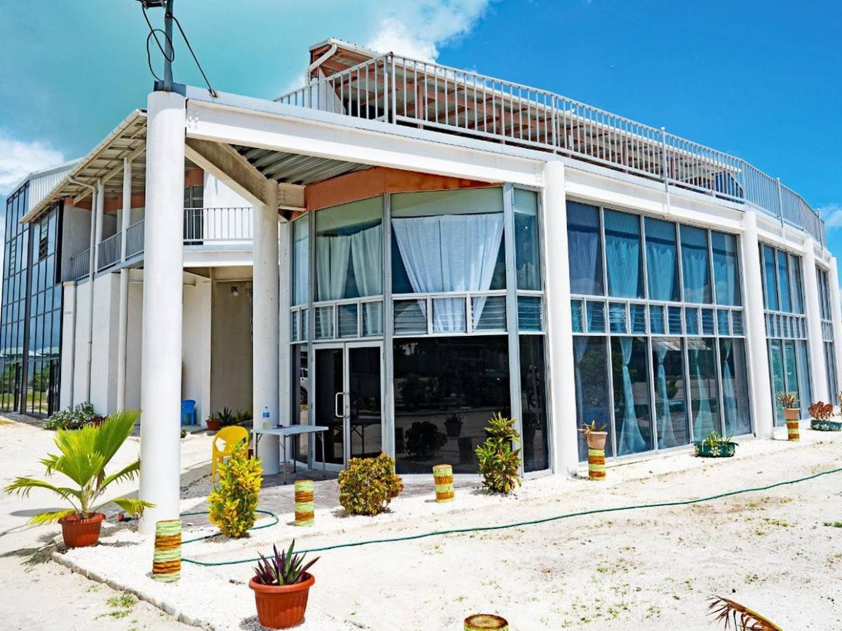 ¿Qué país del mundo recibe primero el Año Nuevo 2026 y por qué?