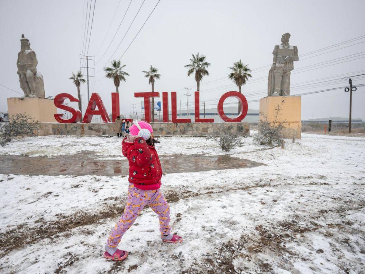 Onda gélida afecta al norte de México con temperaturas bajo cero