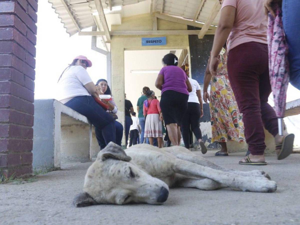 Curiosidades que marcaron las elecciones primarias de Honduras 2025